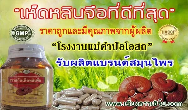 รับผลิตสมุนไพร อาหารเสริมบำรุงตับ เห็ดหลินจือแดงแคปซูล