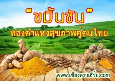 ยาขมิ้นชัน บำรุงตับ ลดกรดไหลย้อนและลำไส้อักเสบ