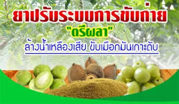 ยาตรีผลา ปรับระบบการขับถ่าย แก้ท้องผูก