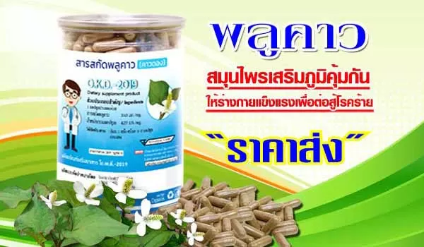 คาวตอง พลูคาวแคปซูล ราคาส่งค่ะ อาหารเสริมสำหรับคุณ