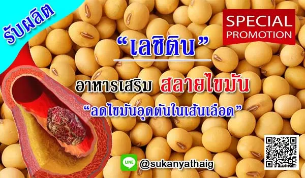 รับผลิตอาหารเสริมเลซิติน อาหารเสริมสลายไขมันในหลอดเลือด