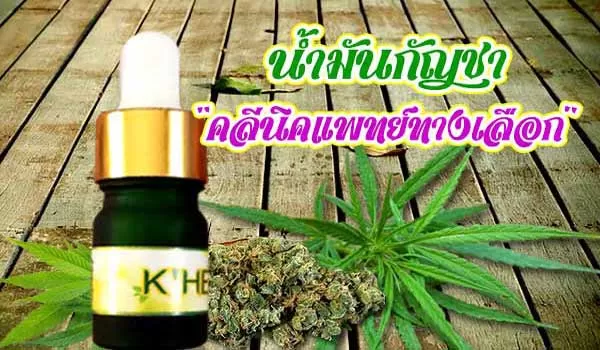 น้ำมันกัญชา สกัดแบบ CBD ไร้สารมึนเมา ปลอดภัย100%
