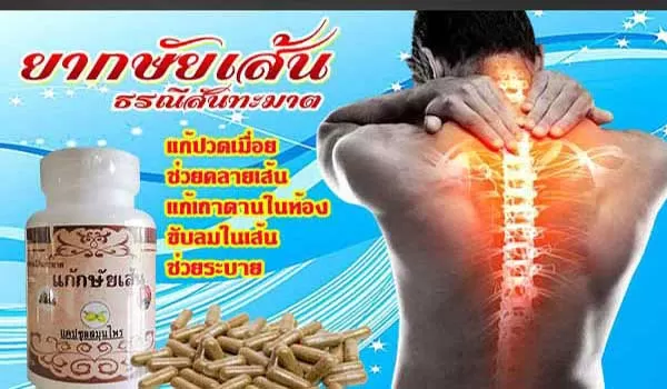 ยากษัยเส้นแคปซูล ยาแก้ปวดเมื่อย ตำรับยาธรณ๊สันฑะฆาต
