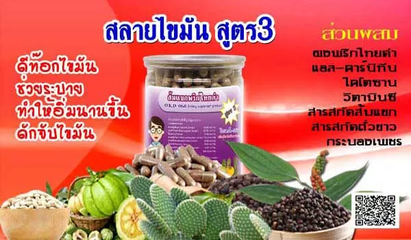 อาหารเสริมลดความอ้วน ลดน้ำหนัก สลายไขมันสูตร3