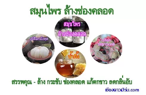 ส่วนผสม ยาสอดช่องคลอด ผู้หญิง เพิ่มความฟิตและกระชับ