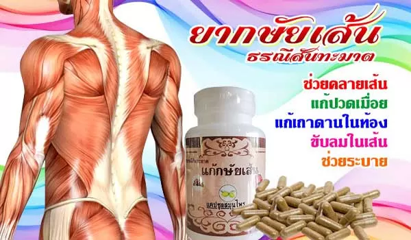 ยาขับลมในเส้น ธรณีสันฑะฆาต ตำรับยากษัยเส้นแคปซูล