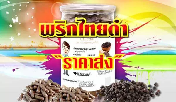 ราคาส่ง พริกไทยดำ แคปซูล อาหารเสริมสลายไขมัน