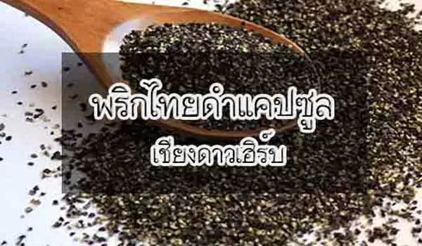 พริกไทยดำ สมุนไพรสลายไขมันที่ดีที่สุด