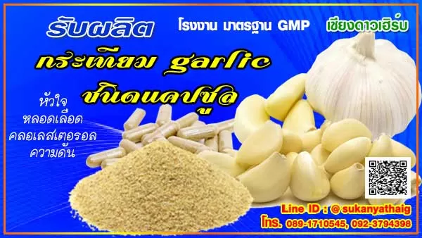 โรงงานรับผลิต กระเทียมอาหารเสริม แคปซูล เชียงดาว เชียงใหม่
