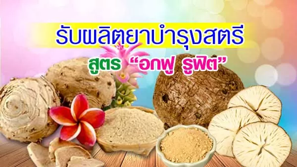 รับผลิตยาบำรุงสตรี สูตรยาว่านชักมดลูกแคปซูล
