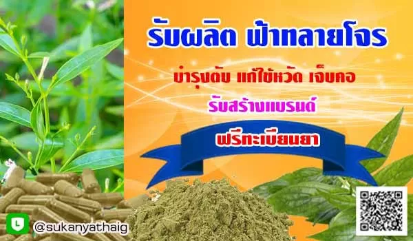 โรงงานสมุนไพร รับผลิต ยาฟ้าทะลายโจร รับสร้างแบรนด์ ฟรี อย.