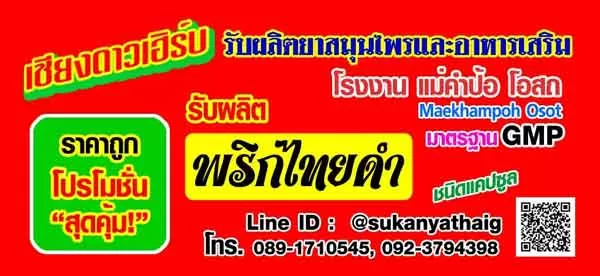 รับผลิต พริกไทยดำ แคปซูล อาหารเสริมลดไขมัน