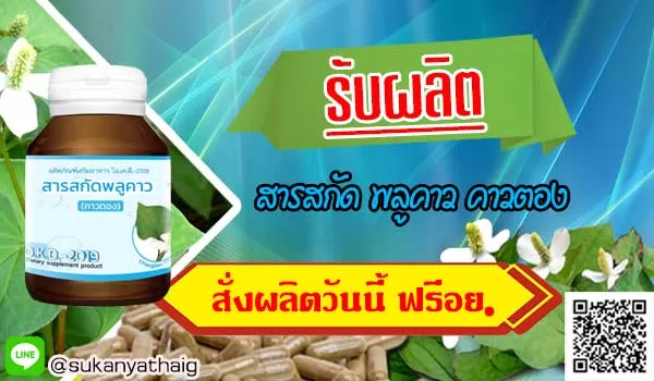 รับผลิต พลูคาวแคปซูล อาหารเสริมคาวตองคนทั่วโลกยอมรับว่าดีทึ่สุด