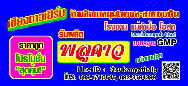 โรงงานรับผลิตสารกสัดพลูคาว ผักคาวตอง อาหารเสริมแคปซูล