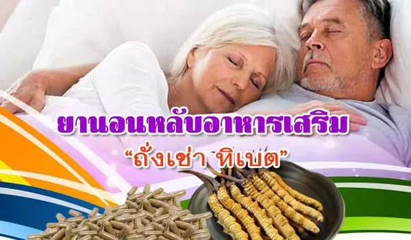 อาหารเสริมยานอนหลับ สมุนไพรถั่งเช่า ทิเบต ดีที่สุดสำหรับคุณ