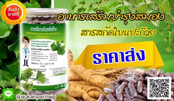ราคาส่ง อาหารเสริมบำรุงสมอง สารสกัดใบแปะก๊วยแคปซูลค่ะ