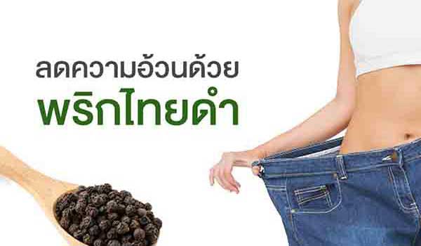 อาหารเสริมสลายไขมันลดความอ้วน พริกไทยดำ แคปซูล